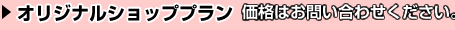 オリジナルショッププラン：￥150,000～（税別）